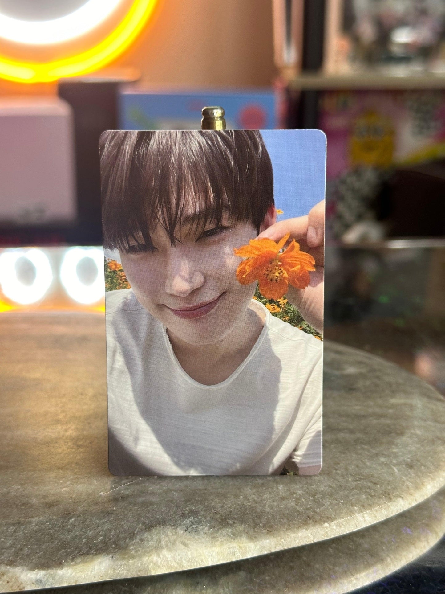 ENHYPEN - ORGANGE BLOOD PHOTOCARDS - K-POP WORLD