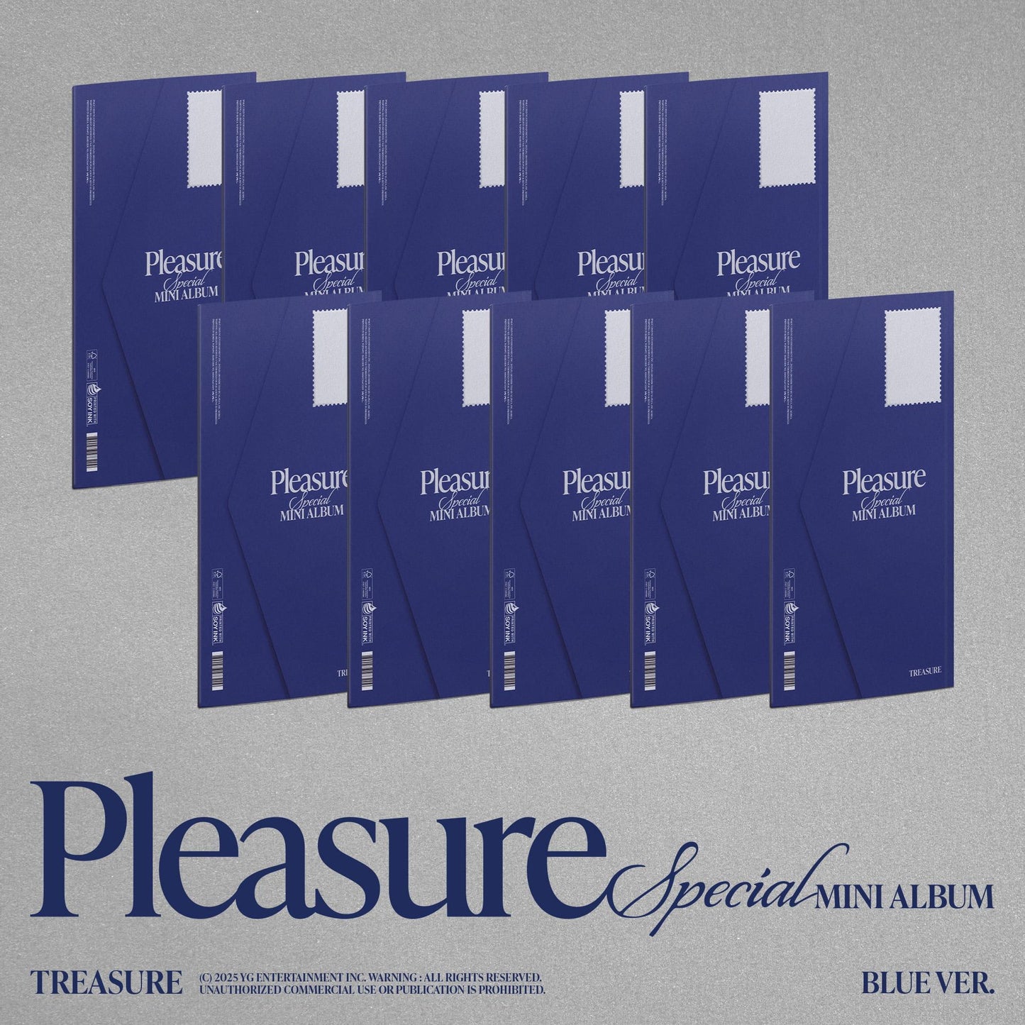 (PREVENTA) TREASURE - SPECIAL MINI ALBUM [PLEASURE] + MAKESTAR GIFT