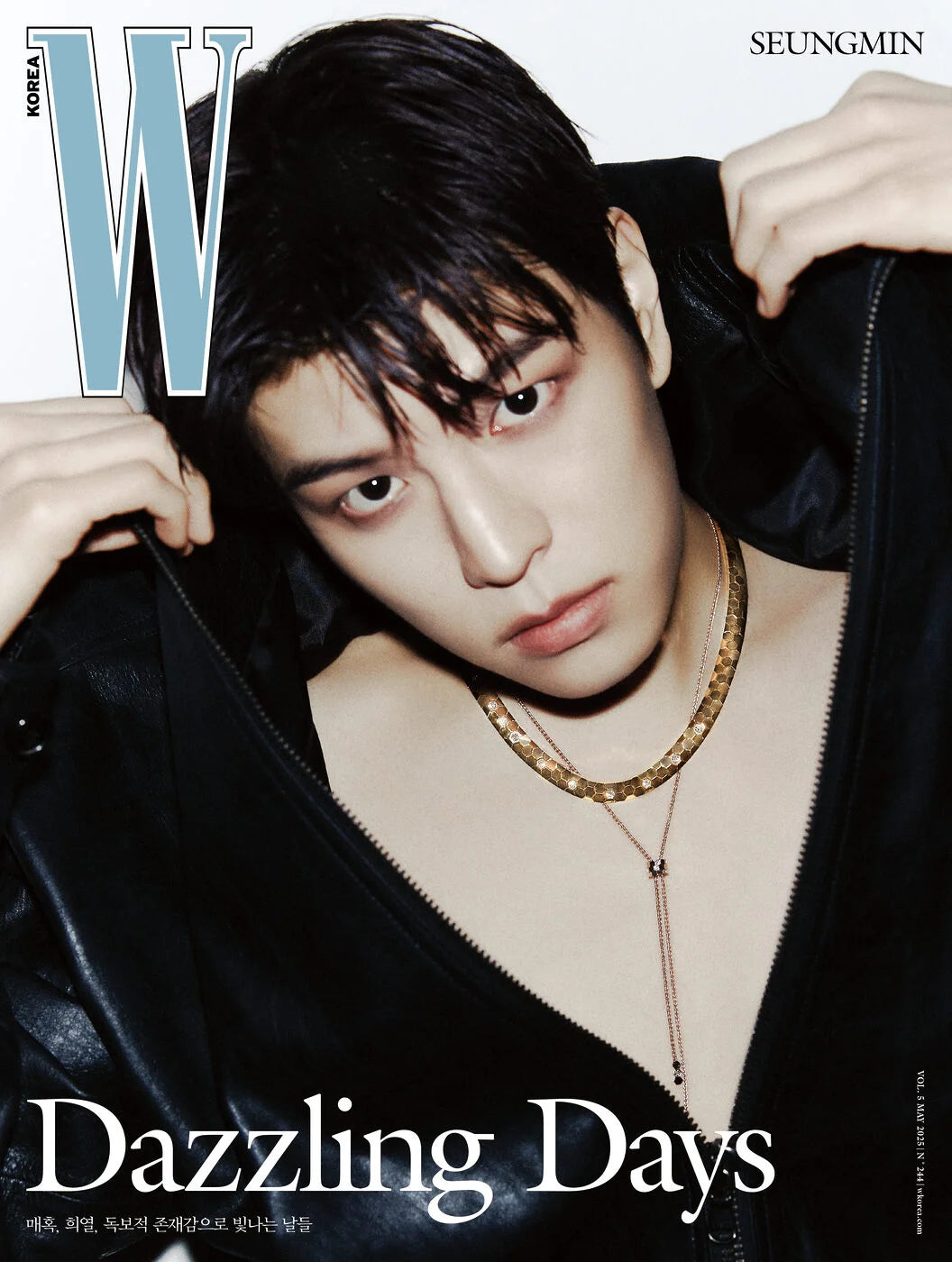 (PREVENTA) STRAY KIDS (SEUNGMIN) - W Magazine Korea 2025-05