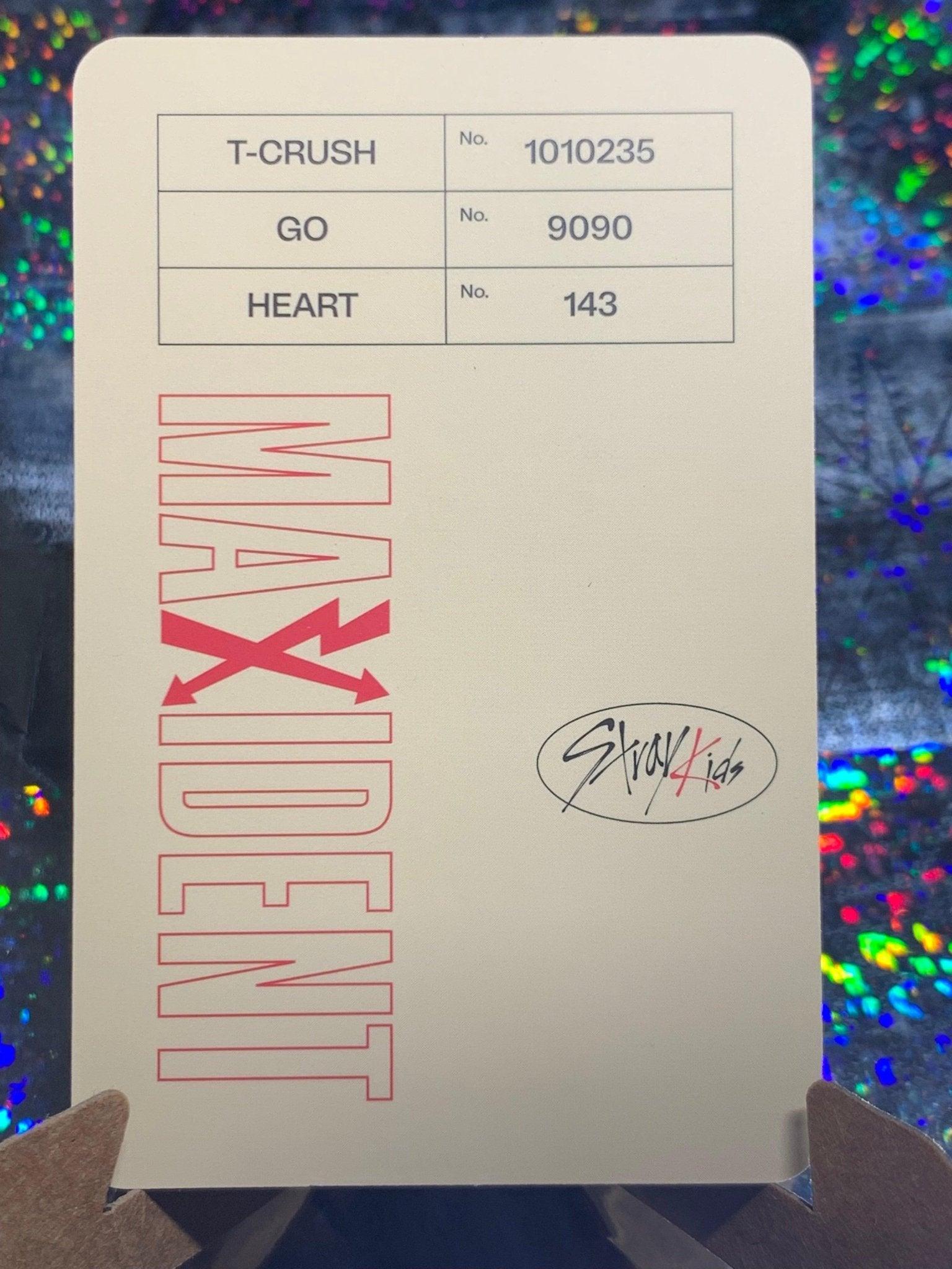 STRAY KIDS - MAXIDENT CASE VER & P.O.B PHOTOCARDS - K-POP WORLD (7390650433671)